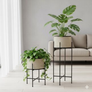 Plants & Planters