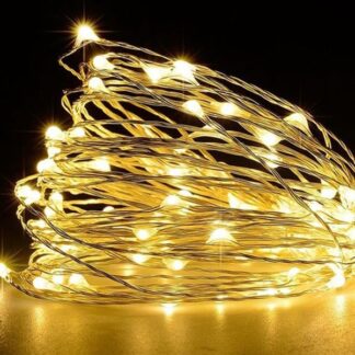 Light String on Silver Wire Warm White 5m Battery Operated