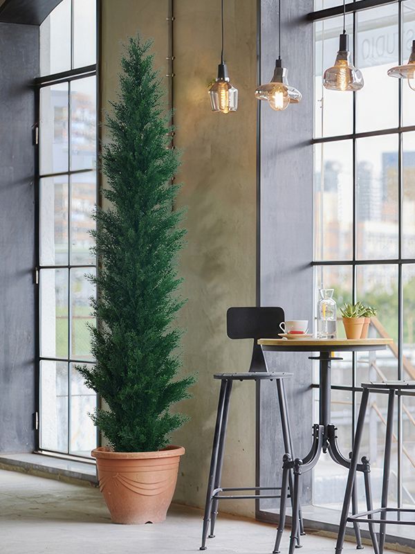Potted Artificial Cyprus Pine Tree 150cm