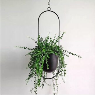Oval Metal Plant Hanger