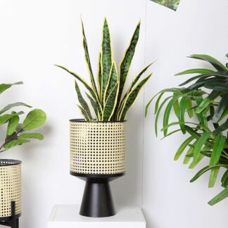 Large Metal Rattan Pedestal Planter
