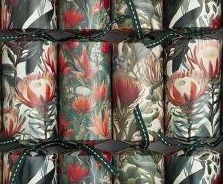 Handmade Protea and Fynbos Christmas Crackers Box of 6